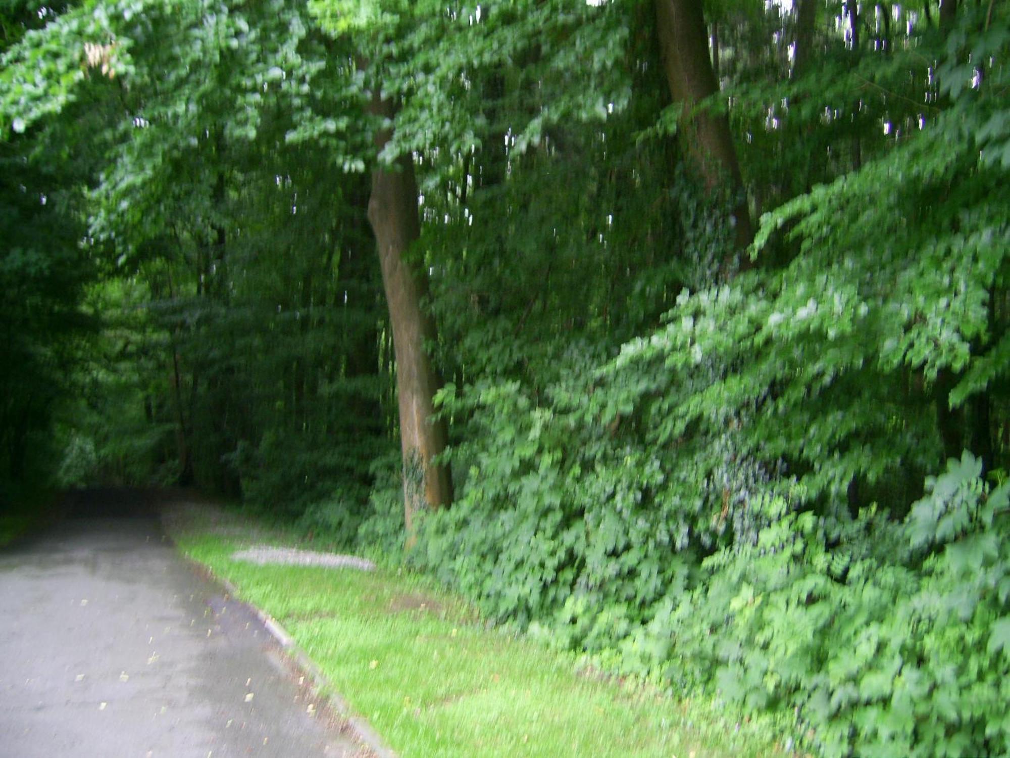 Waldpension Bielefeld Eksteriør billede